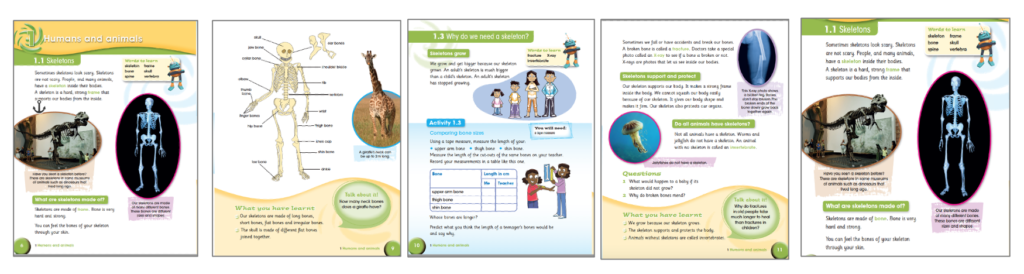 phenomenonbasedlearning, scaffolding, clil, donnaleefields, studentcentredlearning, emi, esl, efl, critical thinking, higher order thinking, , dok, home schooling, bilingual, davidmarsh, lomloe